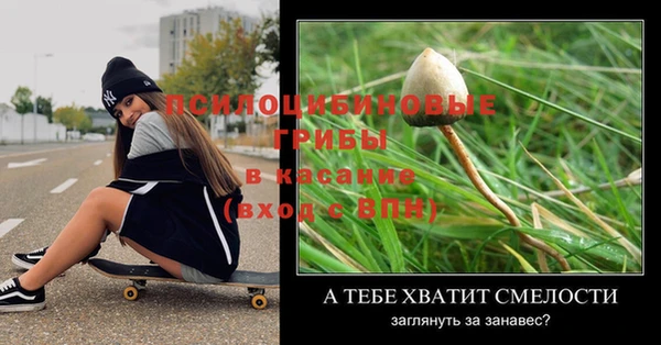 apvp Абаза